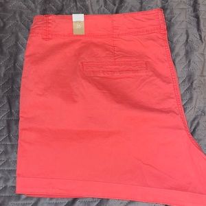 NWT! Size 26 Beautiful coral shorts!